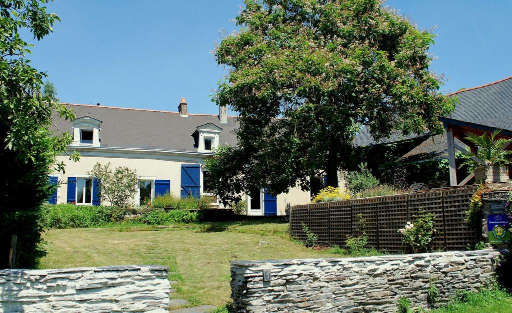 La Petite Boire - Chambres D'Hotes Pres D'Angers Murs-Erigne Номер фото