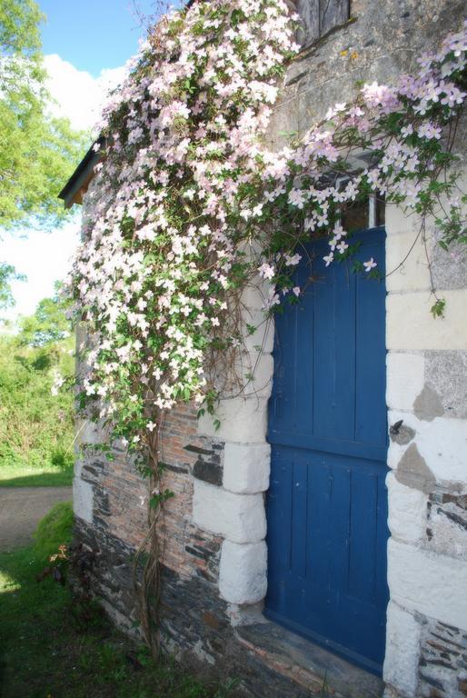 La Petite Boire - Chambres D'Hotes Pres D'Angers Murs-Erigne Экстерьер фото
